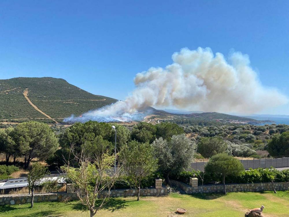 İzmir Fo&ccedil;a'da orman yangını