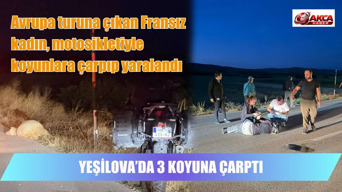 Avrupa turuna &ccedil;ıkan Fransız kadın, motosikletiyle koyunlara &ccedil;arpıp yaralandı