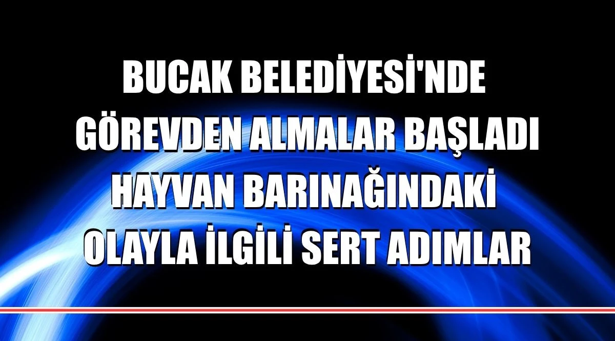 BUCAK BELEDİYESİ'NDE G&Ouml;REVDEN ALMALAR BAŞLADI, HAYVAN BARINAĞINDAKİ OLAYLA İLGİLİ SERT ADIMLAR