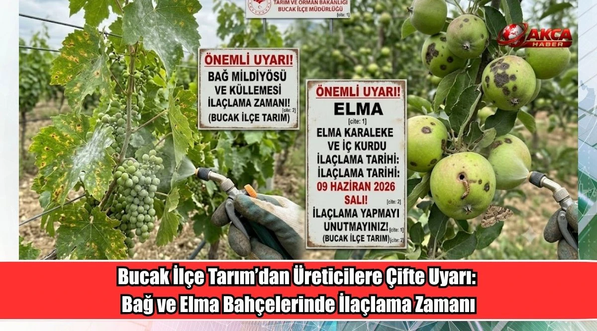 Bucak İl&ccedil;e Tarım&rsquo;dan &Uuml;reticilere &Ccedil;ifte Uyarı: Bağ ve Elma Bah&ccedil;elerinde İla&ccedil;lama Zamanı