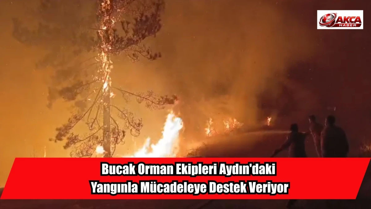 Bucak Orman Ekipleri Aydın'daki Yangınla M&uuml;cadeleye Destek Veriyor