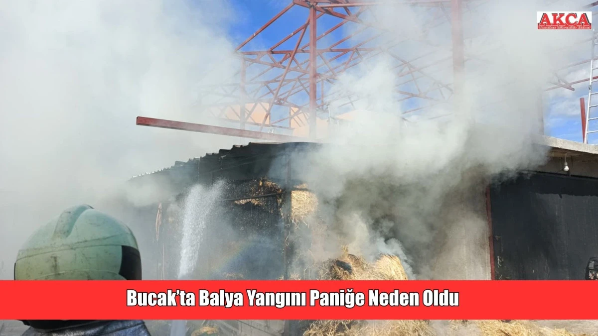 Bucak’ta Balya Yangını Paniğe Neden Oldu