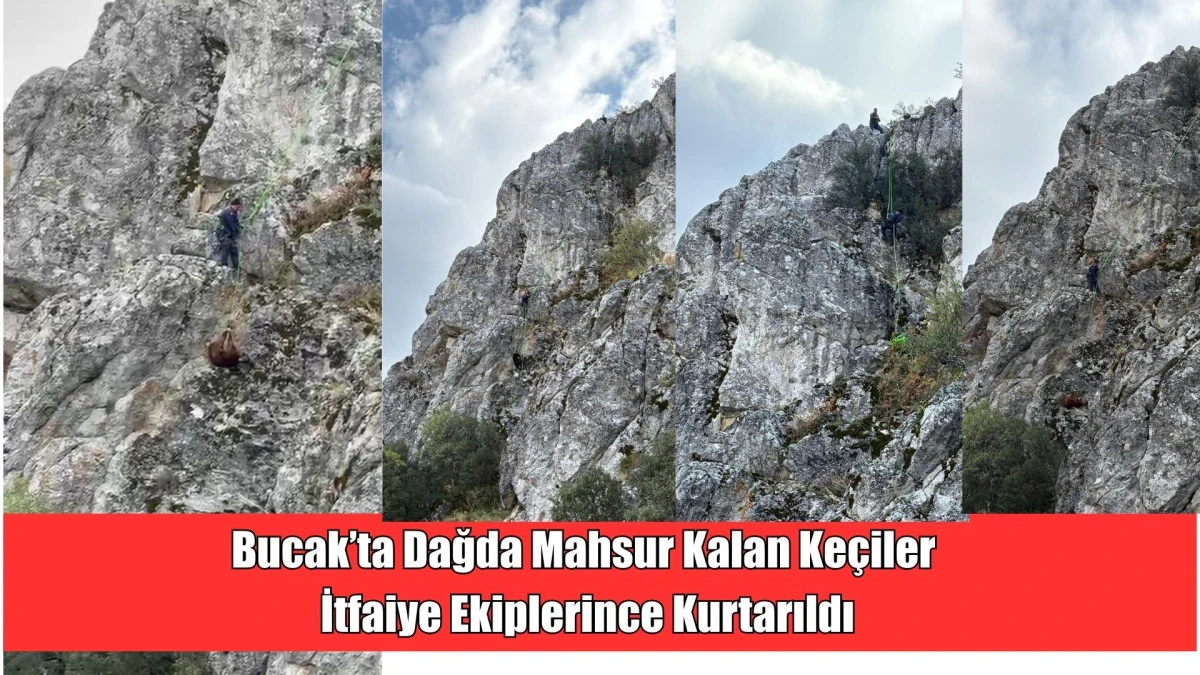 Bucak’ta Dağda Mahsur Kalan Keçiler İtfaiye Ekiplerince Kurtarıldı