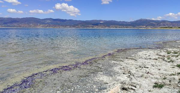Burdur Gölü sahili mor renge büründü
