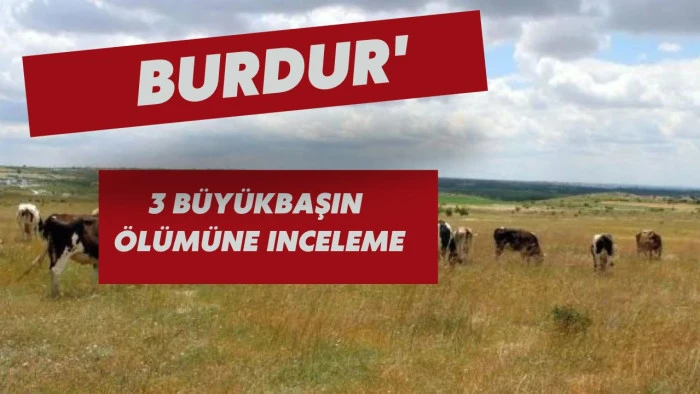 Burdur'da 3 b&uuml;y&uuml;kbaşın &ouml;l&uuml;m&uuml;ne inceleme
