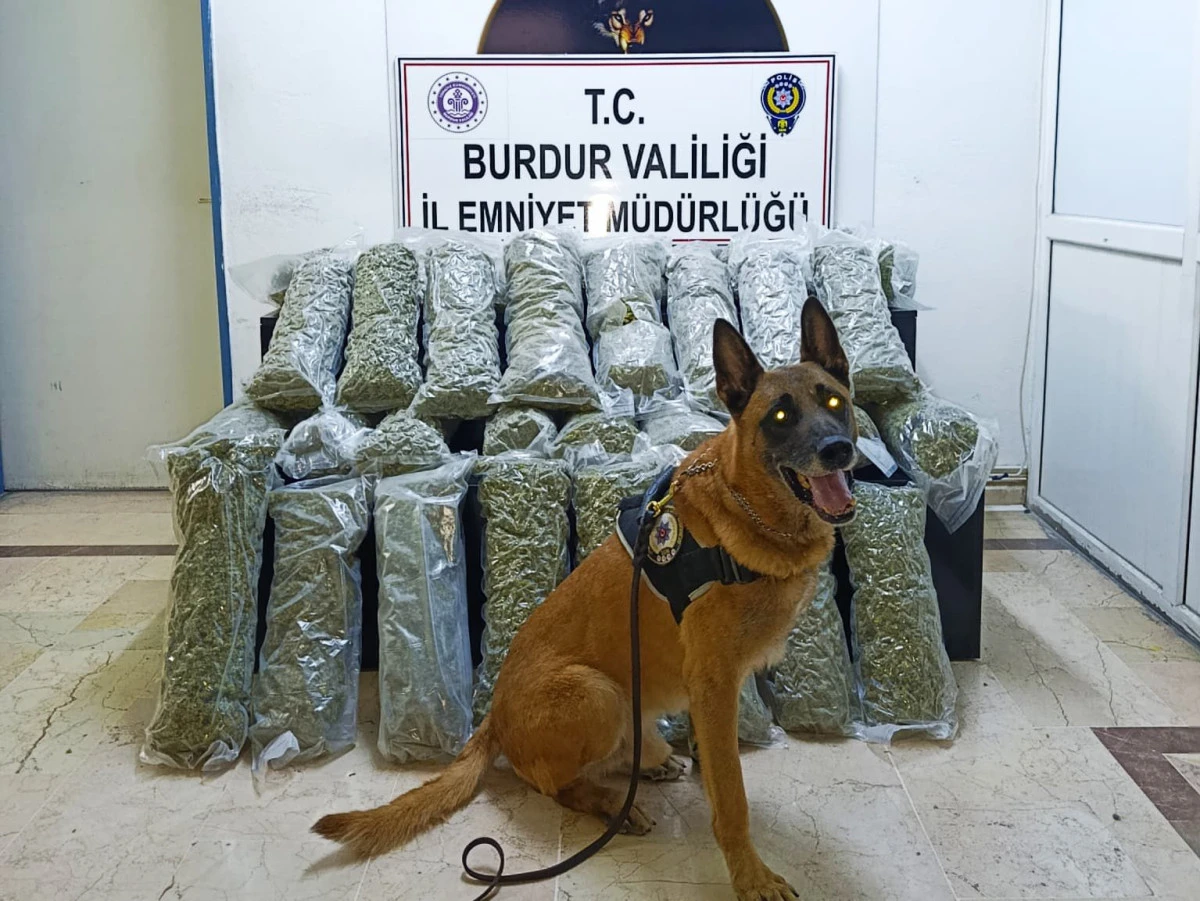 Burdur’da 36 kilo skunk ele geçirildi: 3 kişi tutuklandı