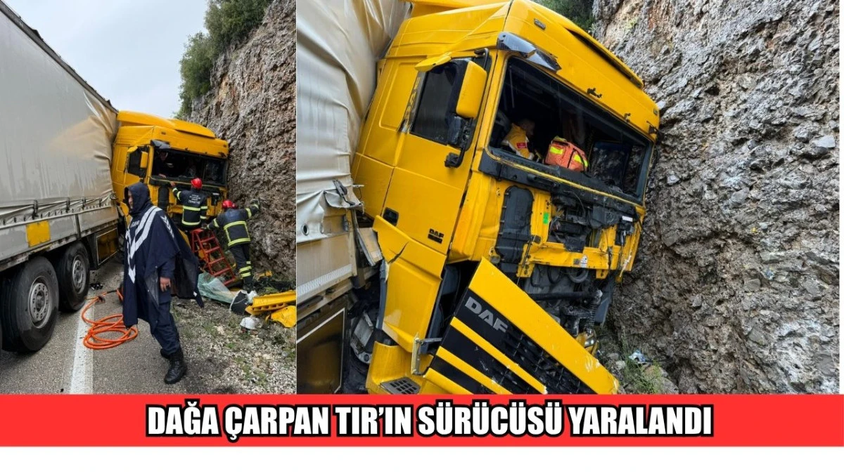 DAĞA &Ccedil;ARPAN TIR&rsquo;IN S&Uuml;R&Uuml;C&Uuml;S&Uuml; YARALANDI