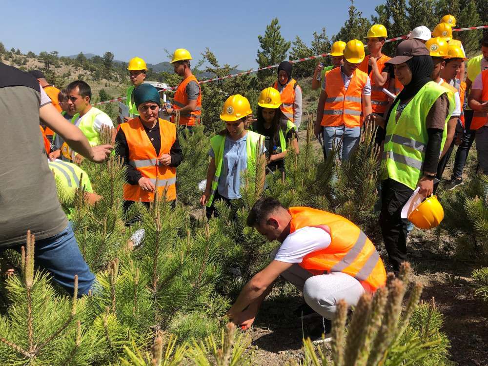 Gölhisar MYO Ormancılık Bölümü Öğrencilerine Teknik Gezi Düzenlendi