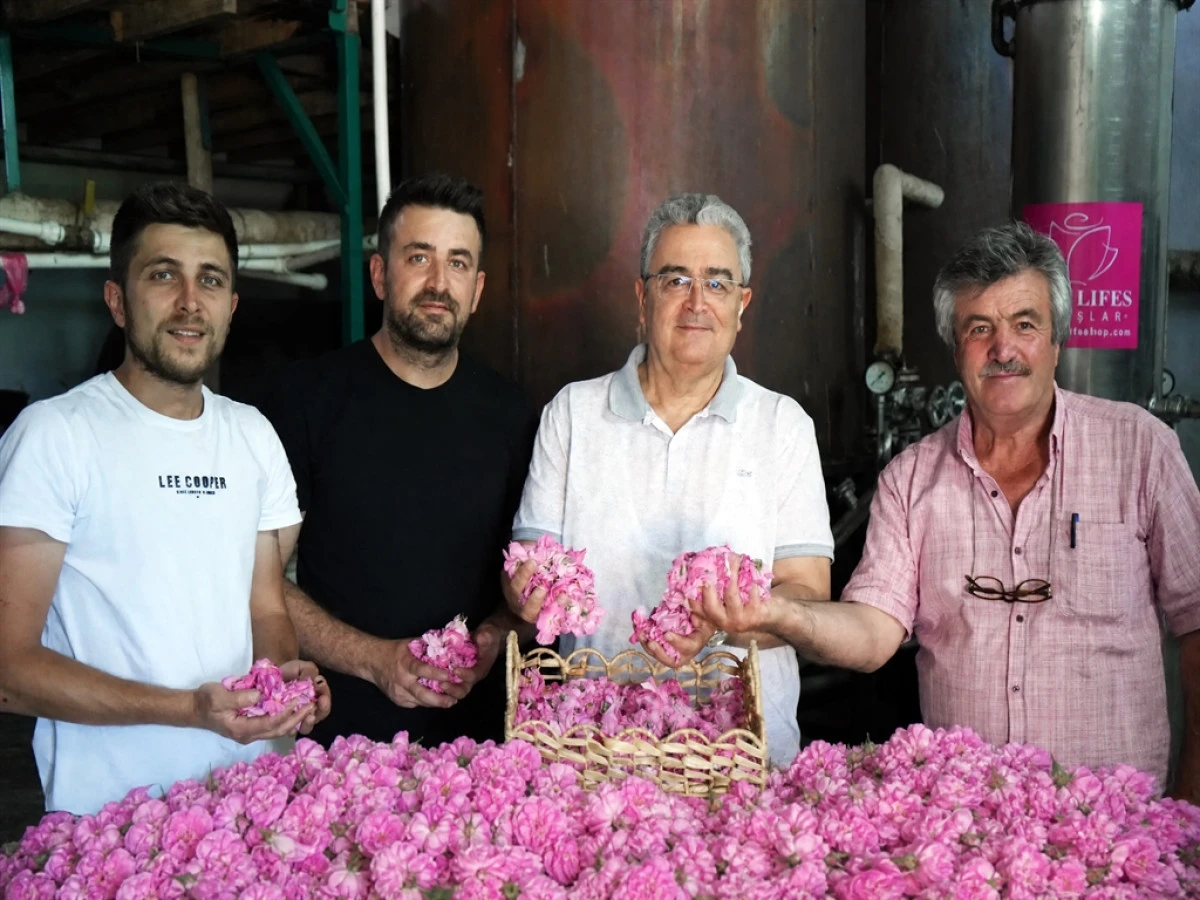 'G&uuml;l&uuml;n 140 yıllık mirası geleceğe taşınıyor'