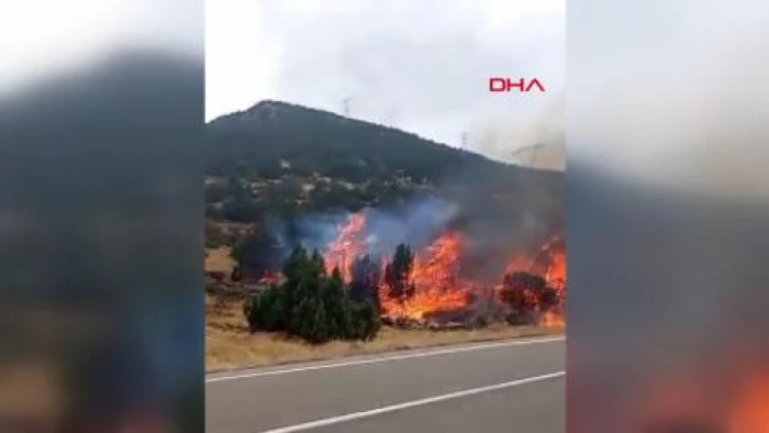 Isparta - Orman yangını b&uuml;y&uuml;meden s&ouml;nd&uuml;r&uuml;ld&uuml;