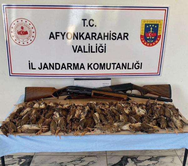 Kaçak bıldırcın avcılarına ceza