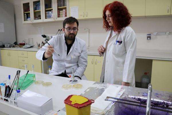 'Kanatlı eti ve yumurtası yüksek ısıda tüketilmeli'