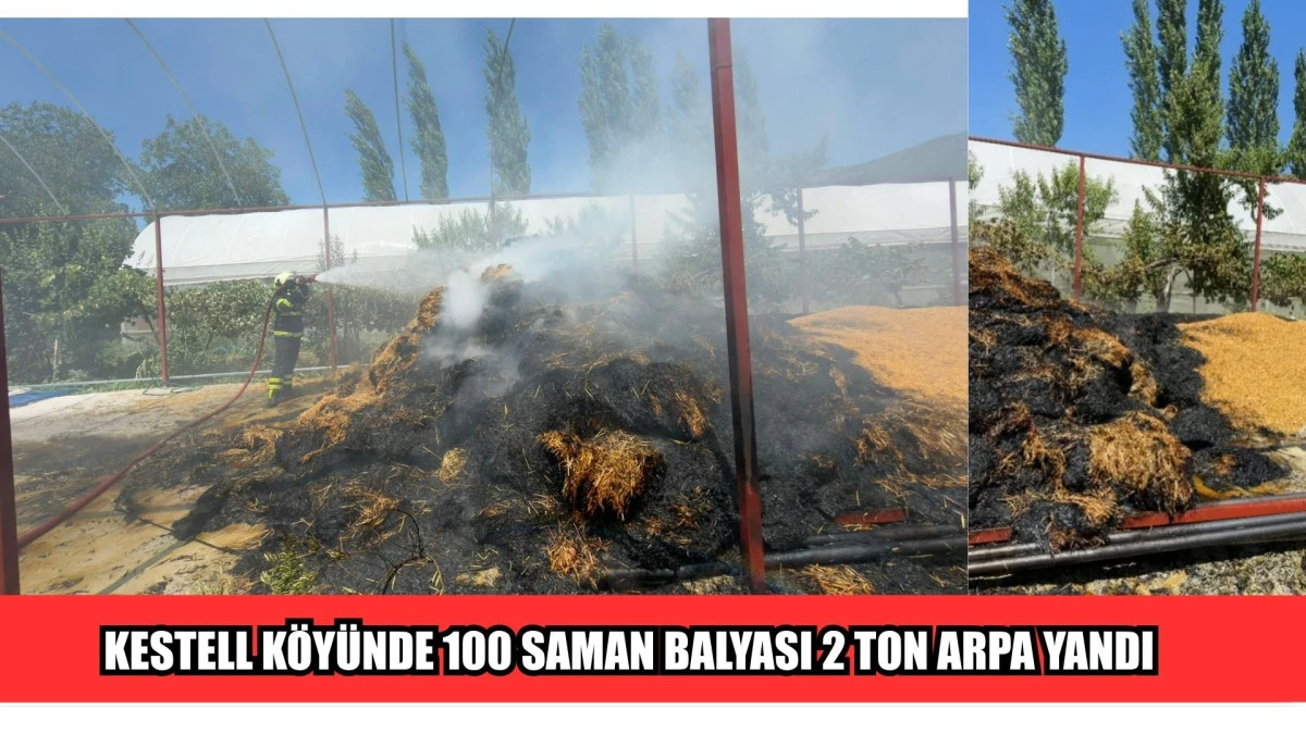 KESTELL K&Ouml;Y&Uuml;NDE 100 SAMAN BALYASI 2 TON ARPA YANDI