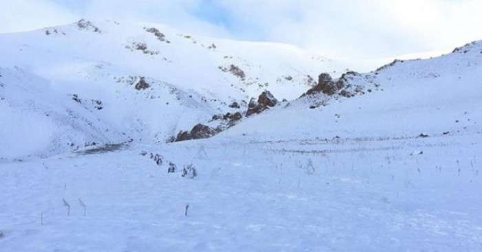 Mardin'de 'Eren Kış-8 Operasyonu' başlatıldı