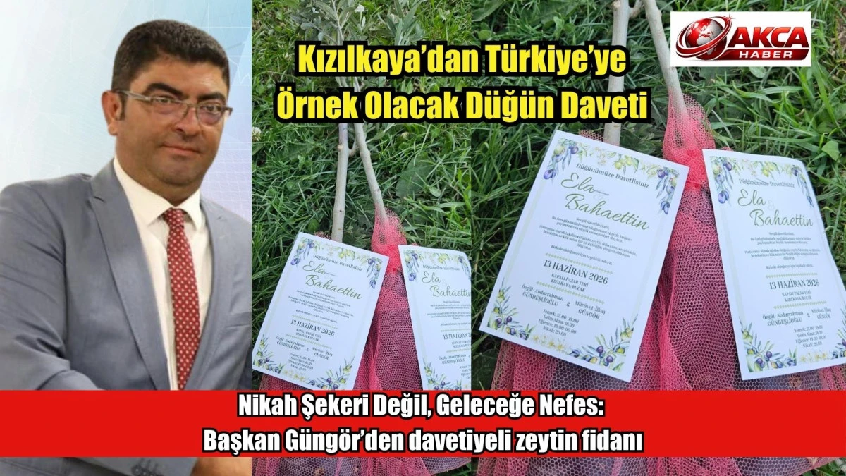 Nikah Şekeri Değil, Geleceğe Nefes: Başkan G&uuml;ng&ouml;r&rsquo;den davetiyeli zeytin fidanı