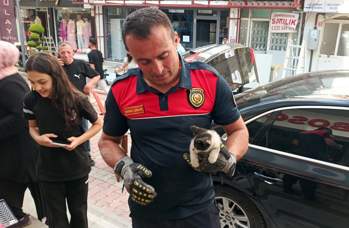Otomobilin motoruna giren kedi g&uuml;&ccedil;l&uuml;kle &ccedil;ıkarıldı