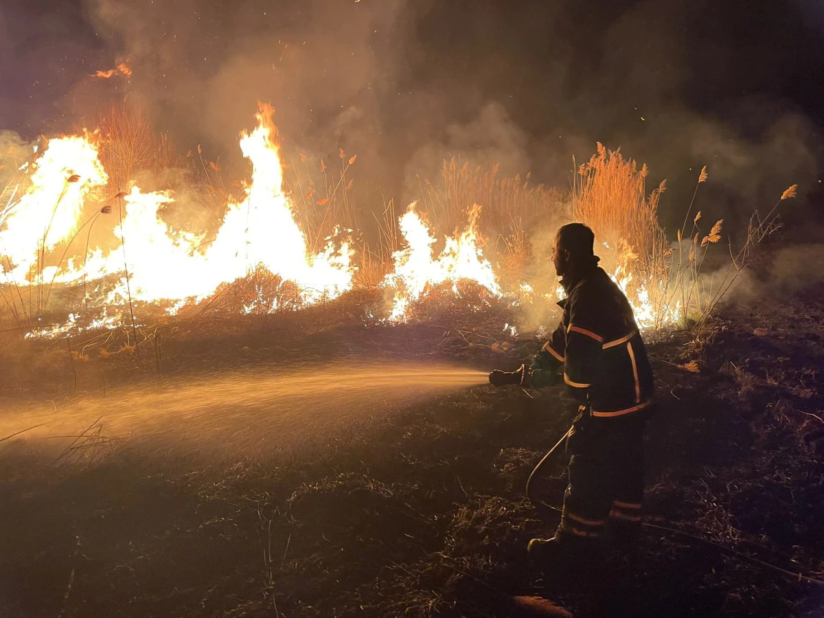 Sazlık yangını 3 saatte s&ouml;nd&uuml;r&uuml;ld&uuml;