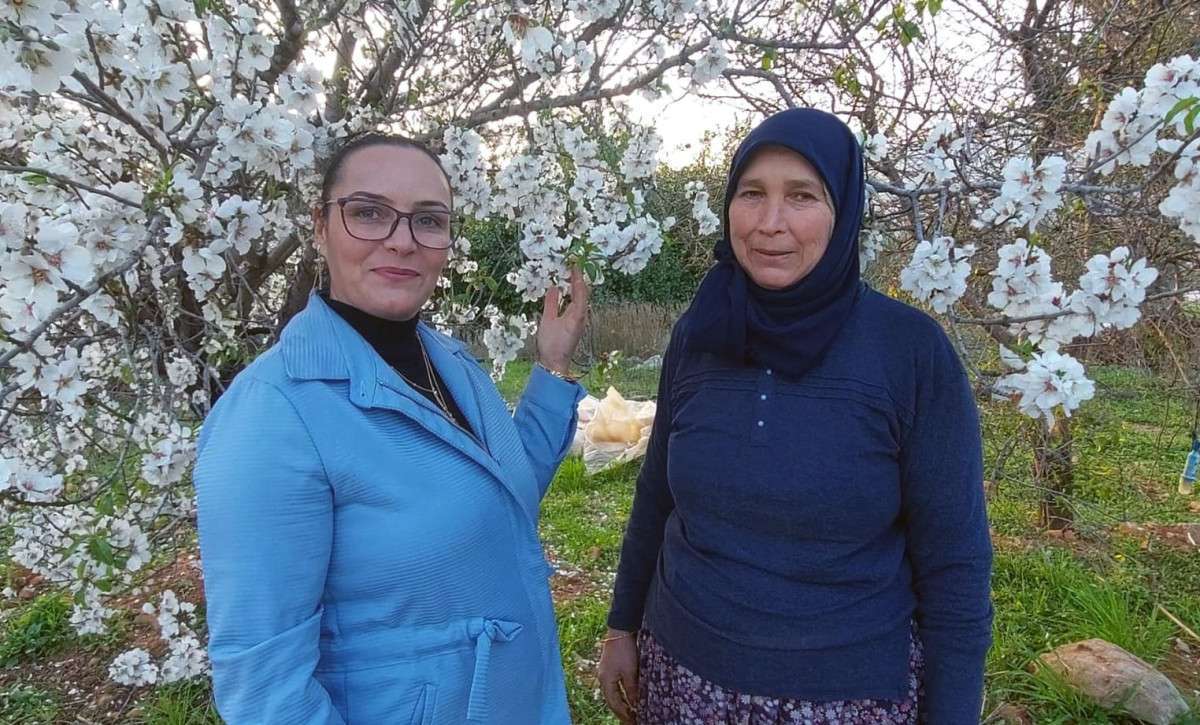 Silifke’de badem ağaçları çiçek açtı