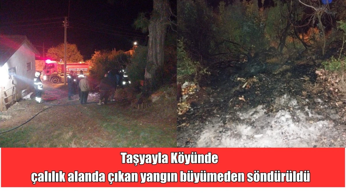 Taşyayla’da çalılık alanda çıkan yangın büyümeden söndürüldü