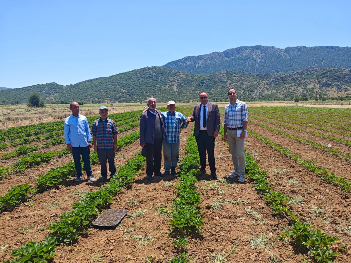 TKDK&rsquo;den Burdur&rsquo;a 2025&rsquo;te 177 Milyon TL&rsquo;lik Hibe Desteği