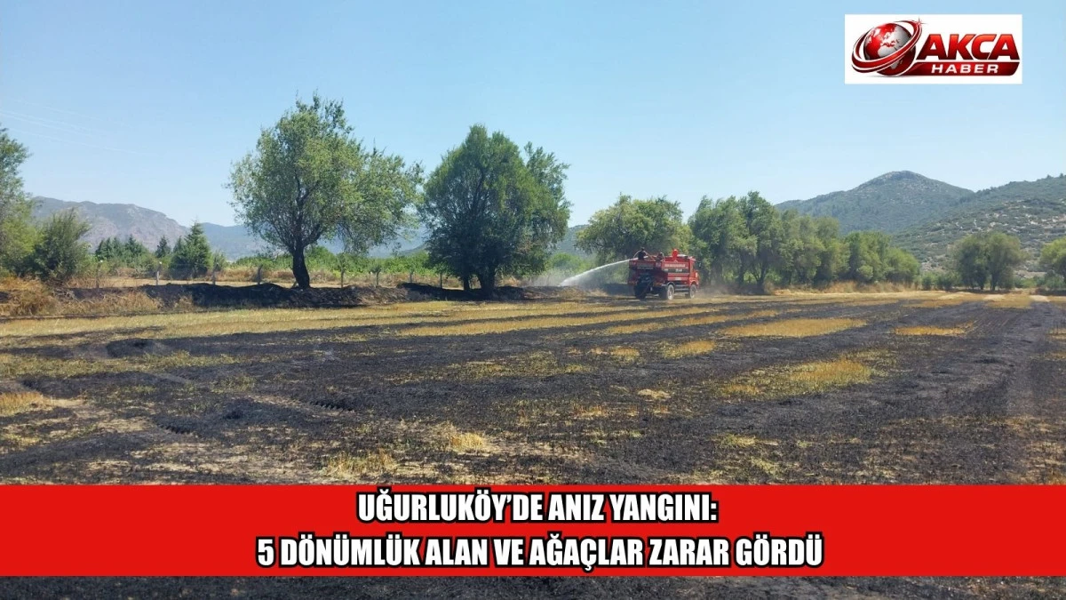UĞURLUK&Ouml;Y&rsquo;DE ANIZ YANGINI: 5 D&Ouml;N&Uuml;ML&Uuml;K ALAN VE AĞA&Ccedil;LAR ZARAR G&Ouml;RD&Uuml;