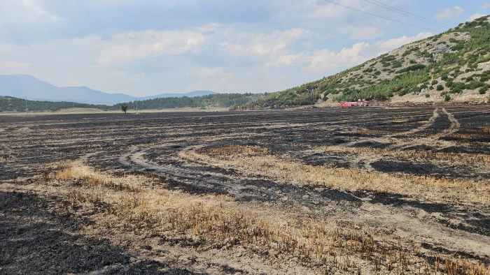 BUCAK'TA EKİN TARLASINDA &Ccedil;IKAN YANGIN ORMANA SI&Ccedil;RADI